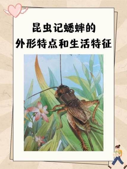 紅龍魚厭食如何刺激進食？，紅龍魚厭食如何刺激進食，用戶要求1000字說明和配圖