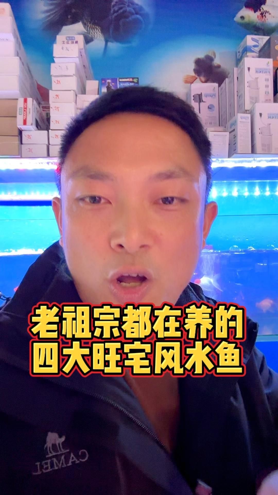 有哪些風水魚種類推薦，最受歡迎的風水魚種類
