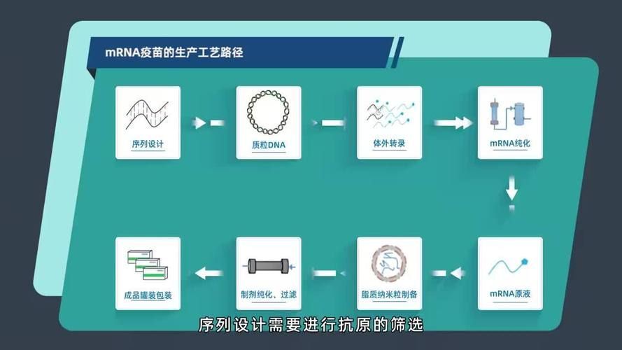 有哪些基因工程疫苗研發(fā)進(jìn)展，基因工程疫苗的研發(fā)