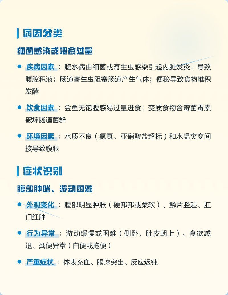 金魚肚子大會自愈嗎，小魚兒天地，金魚肚子鼓脹原因與治療全解析