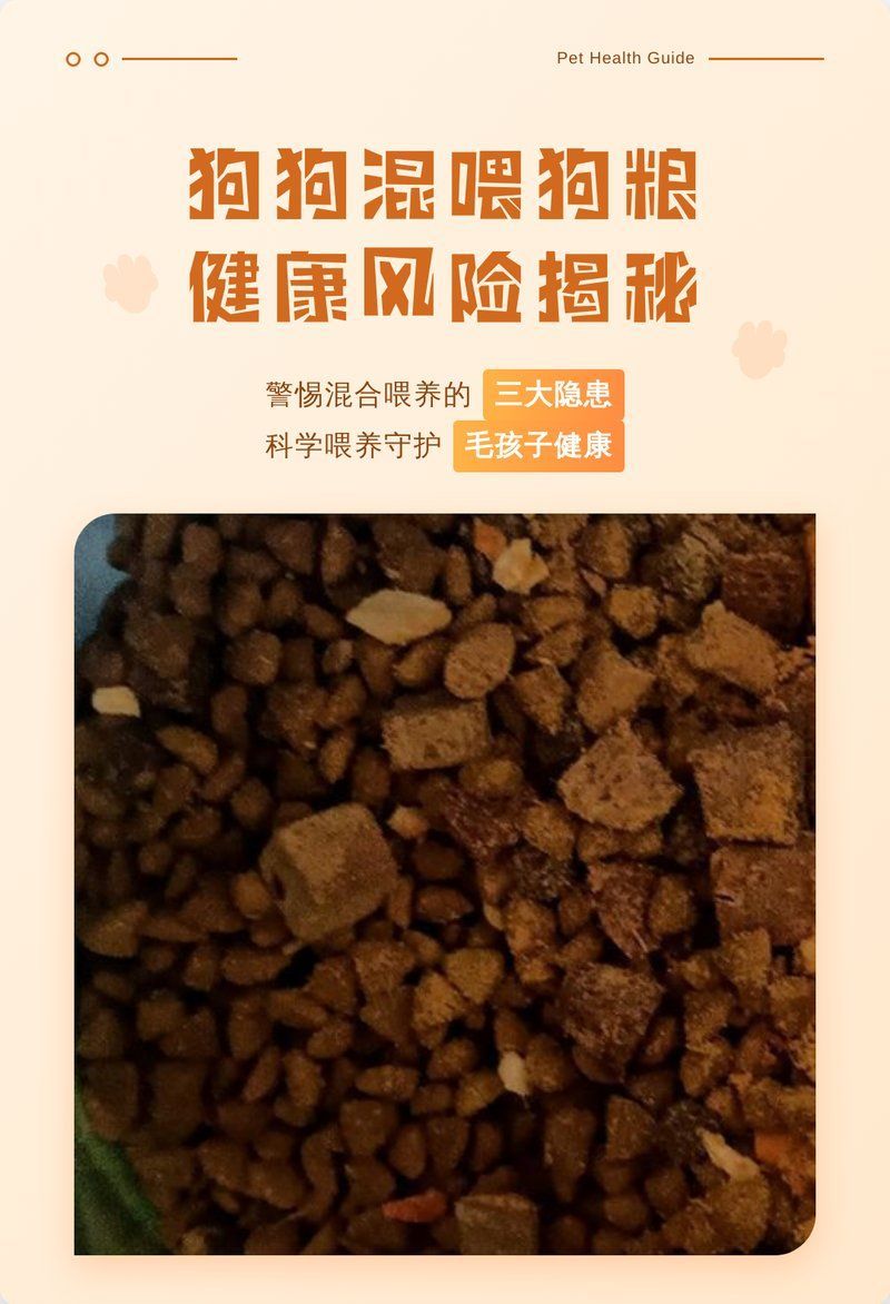 混養時需要注意哪些飲食問題