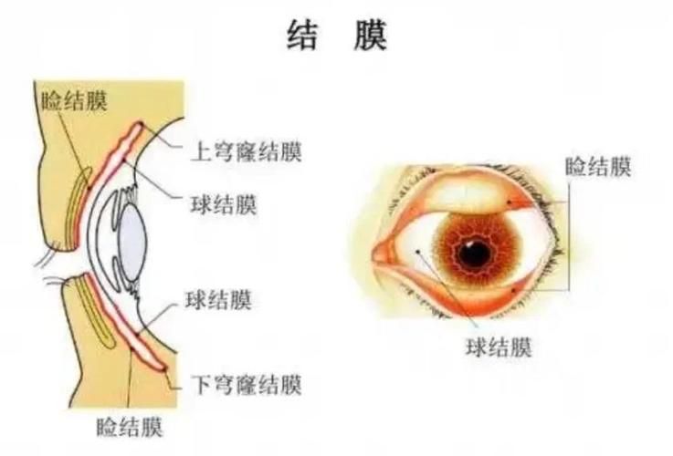 如何緩解不同程度的充血，mcp工具“百度健康-去問診,百度健康-去問診