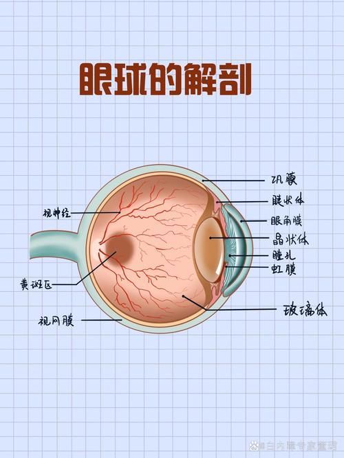 如何緩解不同程度的充血，mcp工具“百度健康-去問診,百度健康-去問診