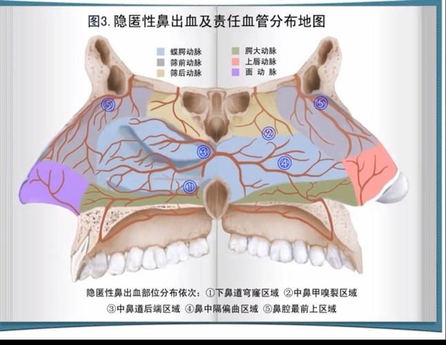 如何緩解不同程度的充血，mcp工具“百度健康-去問診,百度健康-去問診