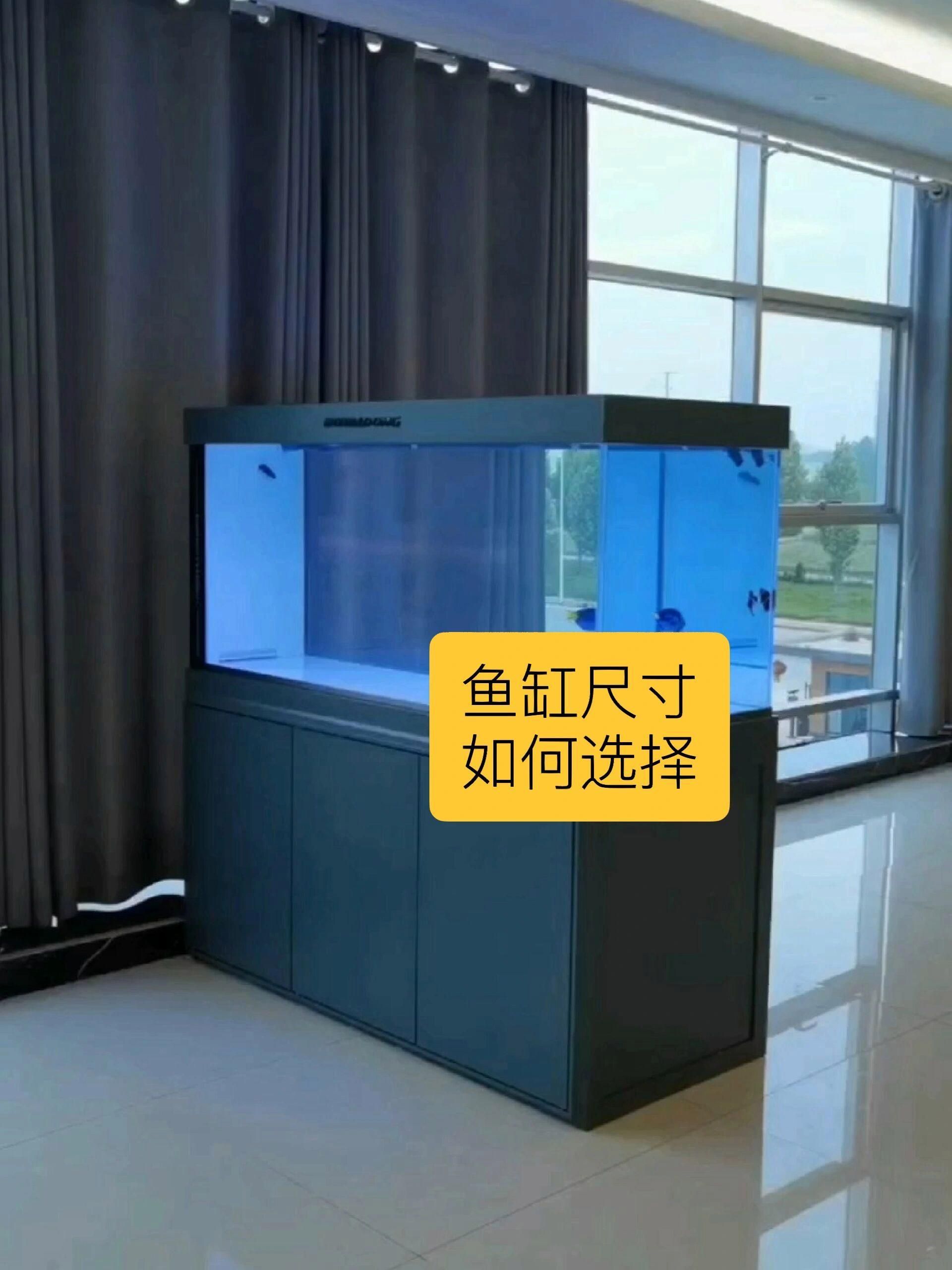 博望龍魚的飼養方法是什么？，博望龍魚的飼養方法