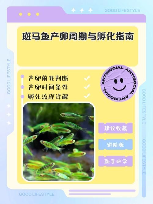 哪些魚類恢復(fù)速度最快，恢復(fù)速度最快的5種魚類