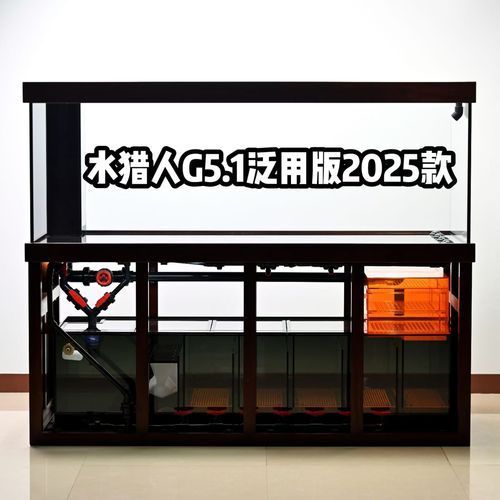 哪種材質的龍魚魚缸最貴？，什么材質的龍魚魚缸最貴？