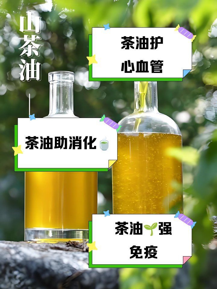 金龍魚茶油有哪些健康功效？，金龍魚茶油有什么好處，金龍魚茶油對身體有什么好處