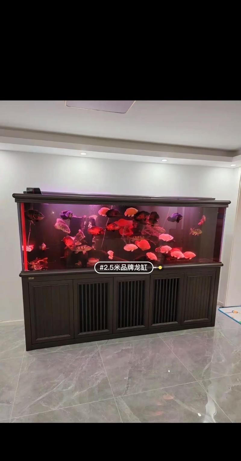 祥龍魚場的龍魚缸有哪些型號？，祥龍魚場的龍魚缸型號