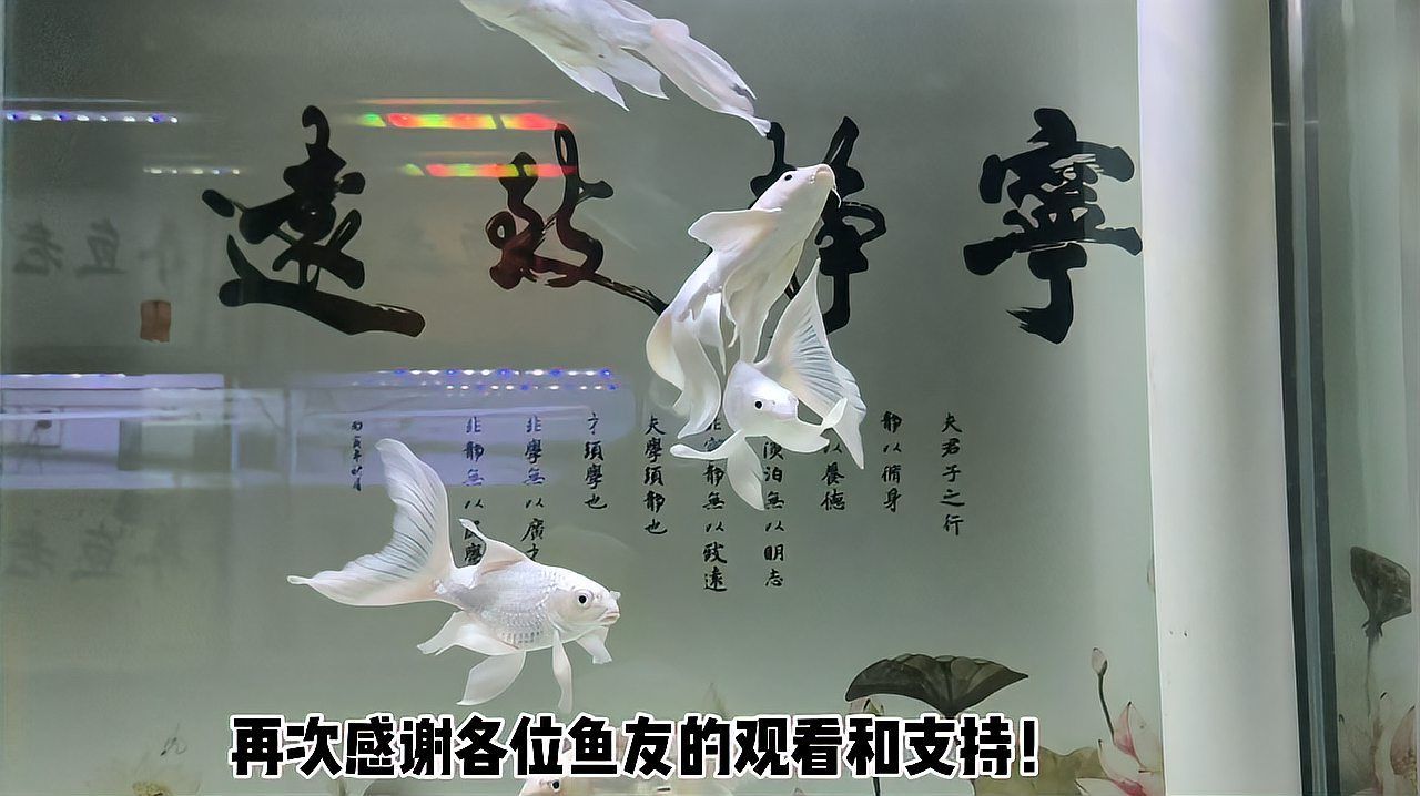 如何判斷合缸后是否出現交叉感染