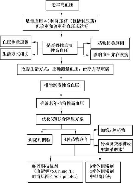 能否提供高血壓治療的詳細(xì)流程圖