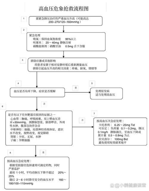 能否提供高血壓治療的詳細(xì)流程圖