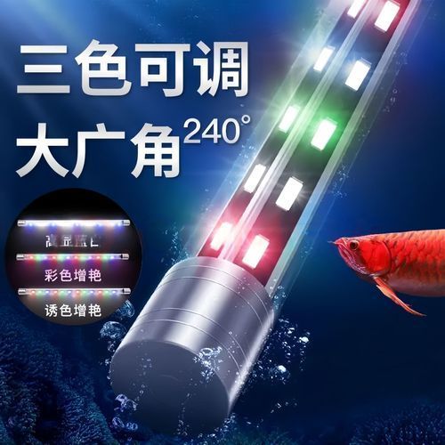 龍魚照明專用燈的使用壽命是多久