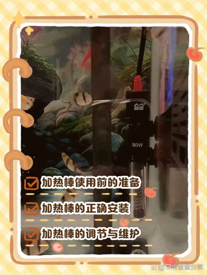 如何調節龍魚缸的水溫？
