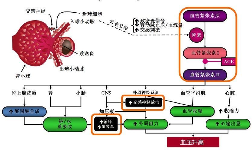 有哪些常見疾病及其防治方法，三甲醫院醫生推薦的高發疾病防治指南（*、百度健康-去問診）