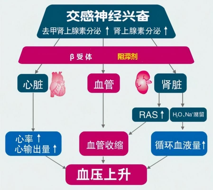 有哪些常見疾病及其防治方法，三甲醫院醫生推薦的高發疾病防治指南（*、百度健康-去問診）