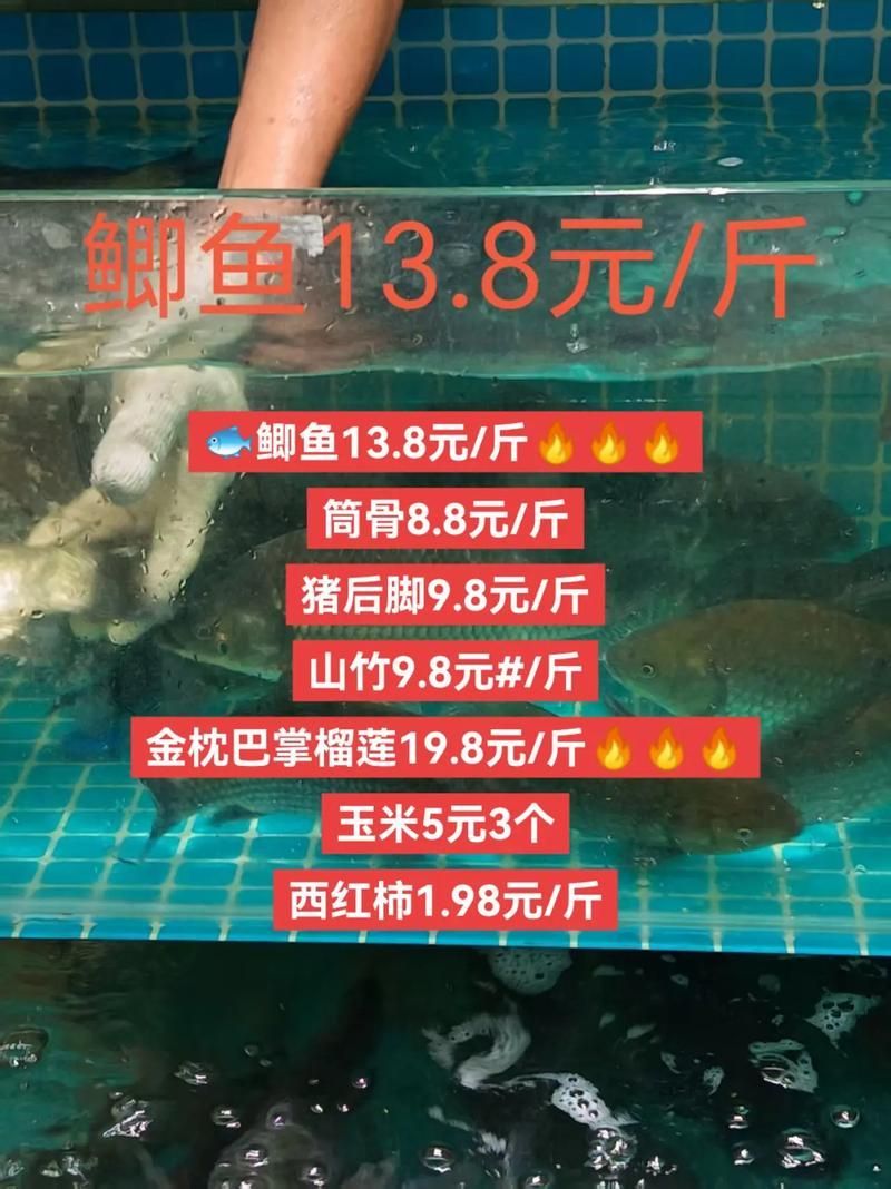 檸檬鯽魚(yú)的市場(chǎng)價(jià)格是多少，檸檬鯽魚(yú)市場(chǎng)價(jià)格是多少檸檬鯽魚(yú)的市場(chǎng)價(jià)格是多少