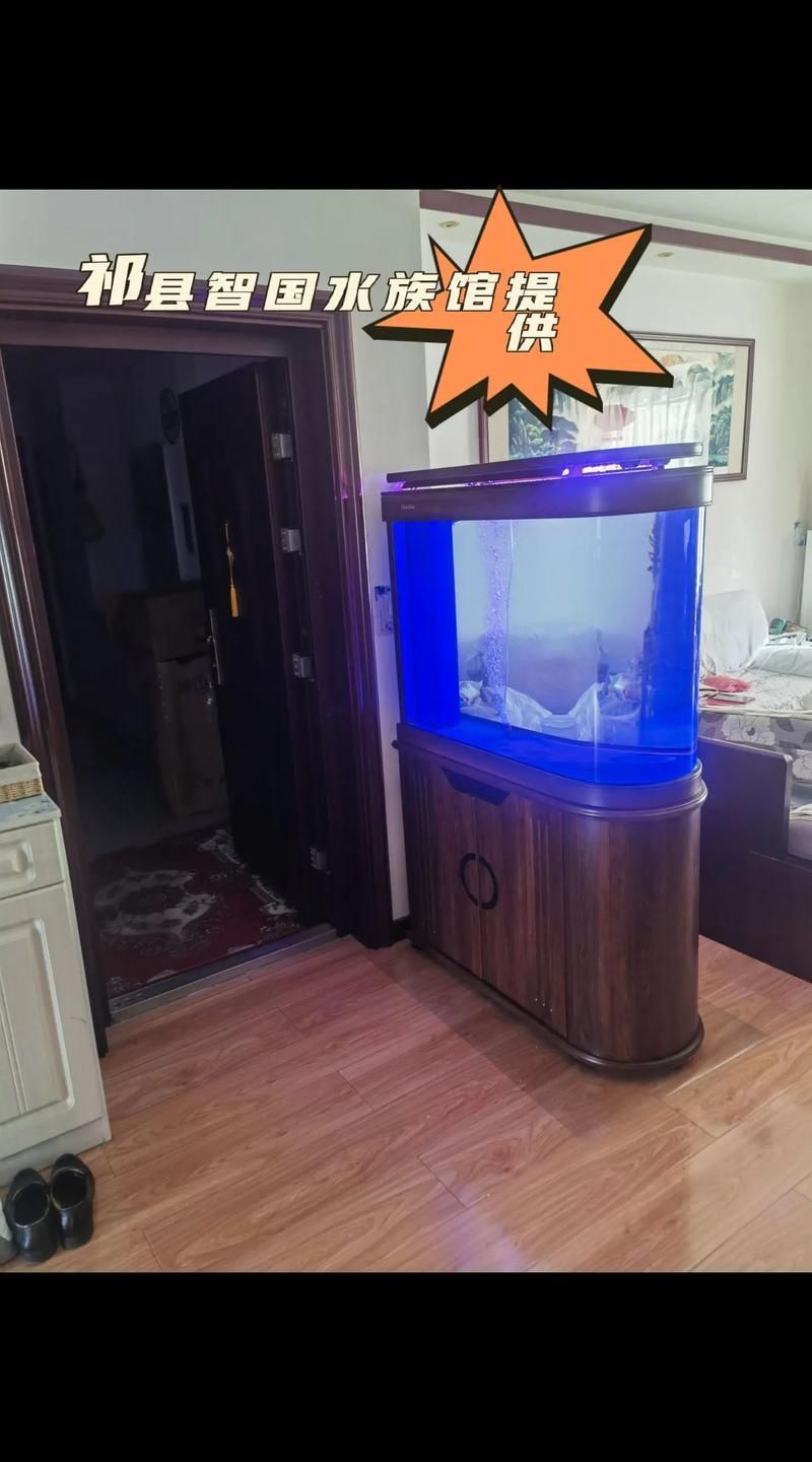 1米2魚缸養金龍需要多大的空間？
