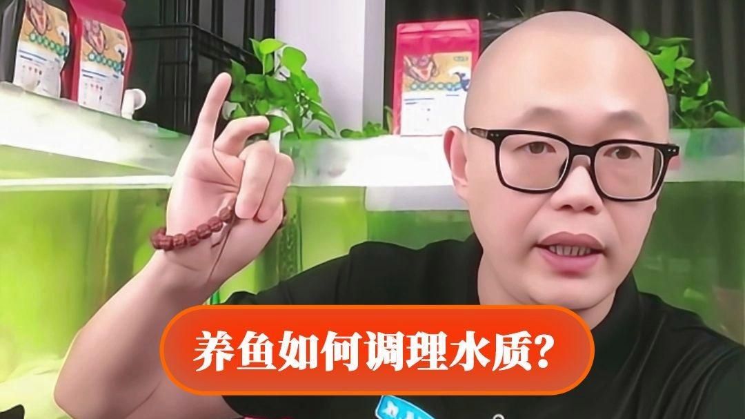 如何保持飼料魚的水質清潔？，如何保持飼料魚的水質清潔？保持飼料魚的水質清潔是確保魚類健康生長和提高養殖效益的關鍵