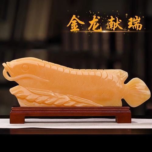 玉龍魚的價格范圍是多少？，玉龍魚的價格范圍是多少玉龍魚價格范圍是多少