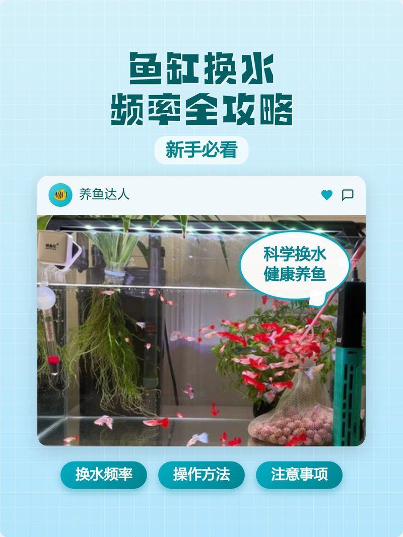 40缸養魚，多久換一次水，40缸養魚多久換一次水