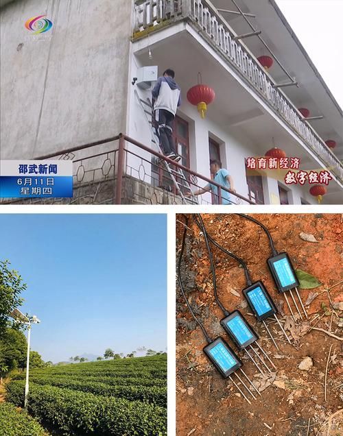 泗水龍魚(yú)哪個(gè)牌子的售后服務(wù)最好？，泗水龍魚(yú)哪個(gè)牌子的售后服務(wù)最好泗水龍魚(yú)哪個(gè)牌子的售后服務(wù)最好