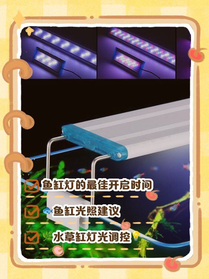 龍魚燈的最佳光照時間是多少？，龍魚燈的最佳光照時間是多少龍魚燈的最佳光照時間是多少