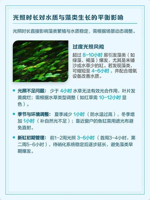 如何預防魚缸水再次變綠？，如何預防魚缸水再次變綠