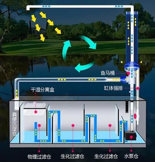 如何預防魚趴缸，如何科學預防觀賞魚趴缸