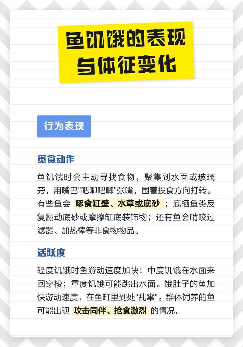 如何判斷小紅龍魚是否饑餓，小紅龍魚饑餓是否饑餓的關鍵在于饑餓的關鍵在于饑餓狀態(tài)