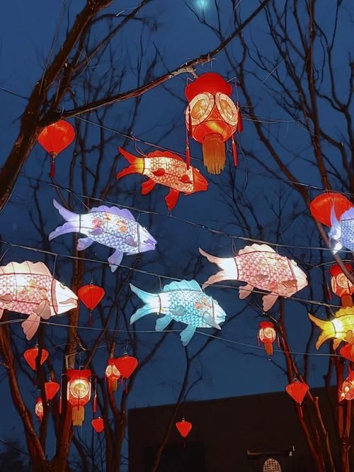北京龍魚燈照的最佳觀賞地點在哪里？，北京龍魚燈照的最佳觀賞地點在哪里