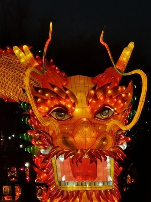 北京龍魚燈照的最佳觀賞地點在哪里？，北京龍魚燈照的最佳觀賞地點在哪里