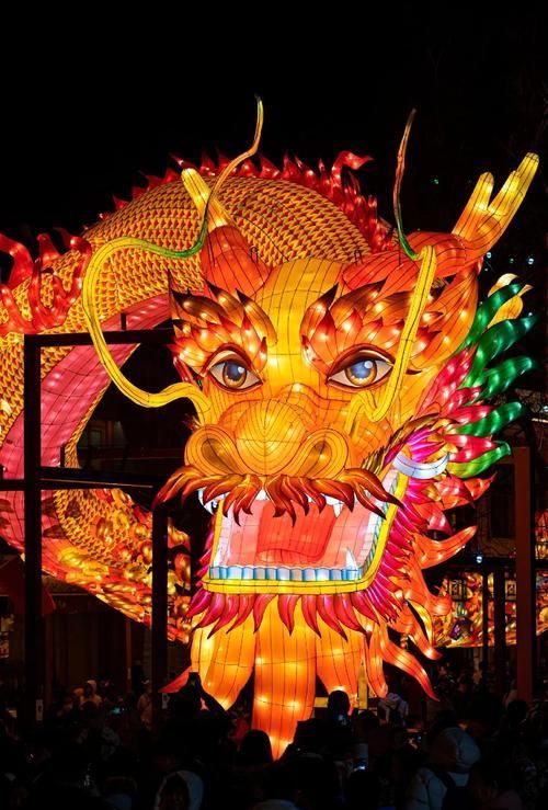 北京龍魚燈照的最佳觀賞地點在哪里？，北京龍魚燈照的最佳觀賞地點在哪里