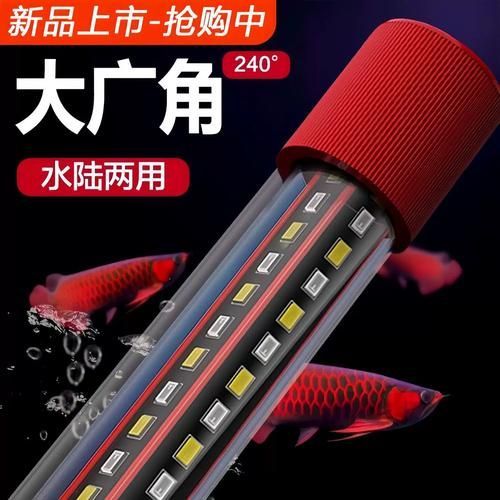 如何選擇適合龍魚的魚缸燈，如何選擇適合龍魚的魚缸燈,選擇適合龍魚的魚缸燈