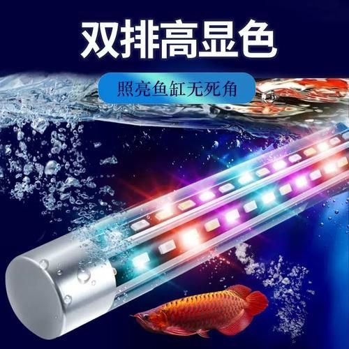 如何選擇適合龍魚的魚缸燈，如何選擇適合龍魚的魚缸燈,選擇適合龍魚的魚缸燈
