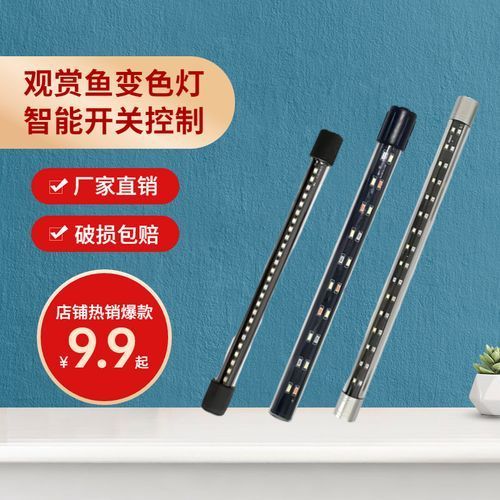 如何選擇適合龍魚的魚缸燈，如何選擇適合龍魚的魚缸燈,選擇適合龍魚的魚缸燈