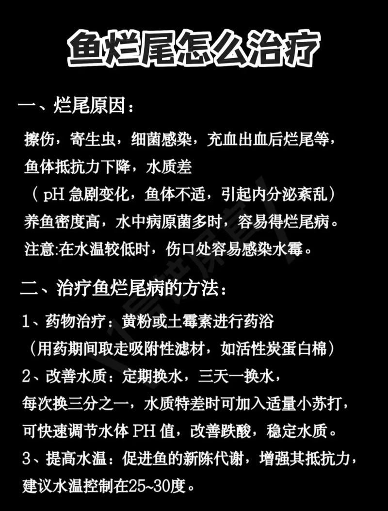 給我一些預防龍魚爛尾的圖片，如何預防龍魚爛尾