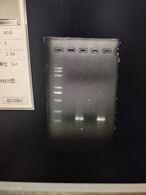 如何判斷食用油是否轉(zhuǎn)基因，如何判斷食用油是否為轉(zhuǎn)基因產(chǎn)品