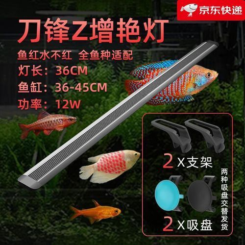 給我推薦幾款性價(jià)比高的龍魚鸚鵡魚照明燈