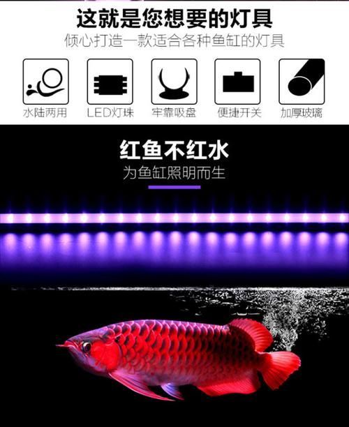 給我推薦幾款性價(jià)比高的龍魚鸚鵡魚照明燈