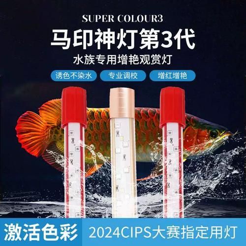給我推薦幾款性價(jià)比高的龍魚鸚鵡魚照明燈