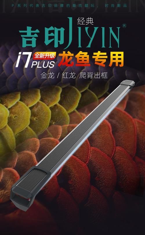 魚缸龍燈有哪些品牌推薦？，魚缸龍燈品牌推薦