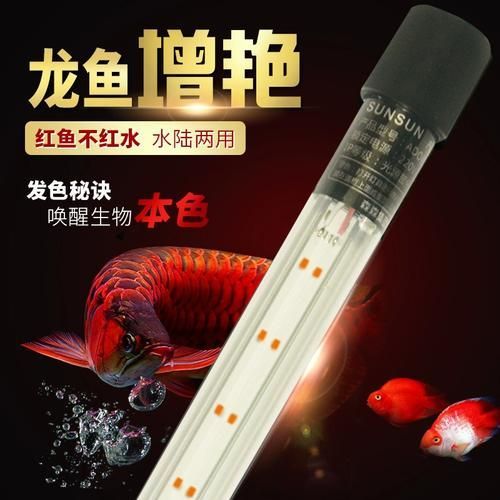魚缸龍燈有哪些品牌推薦？，魚缸龍燈品牌推薦