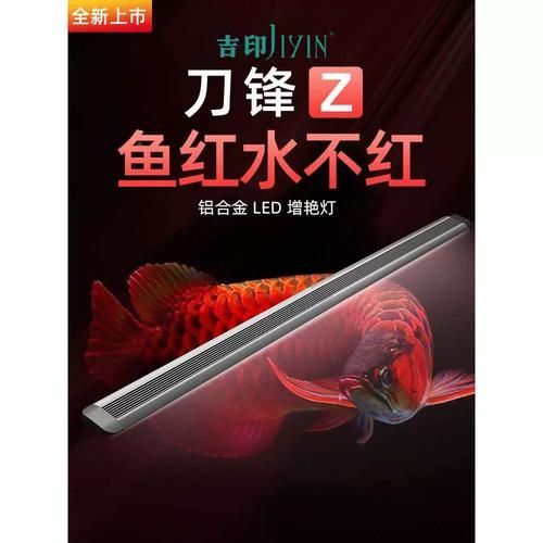 魚缸龍燈有哪些品牌推薦？，魚缸龍燈品牌推薦