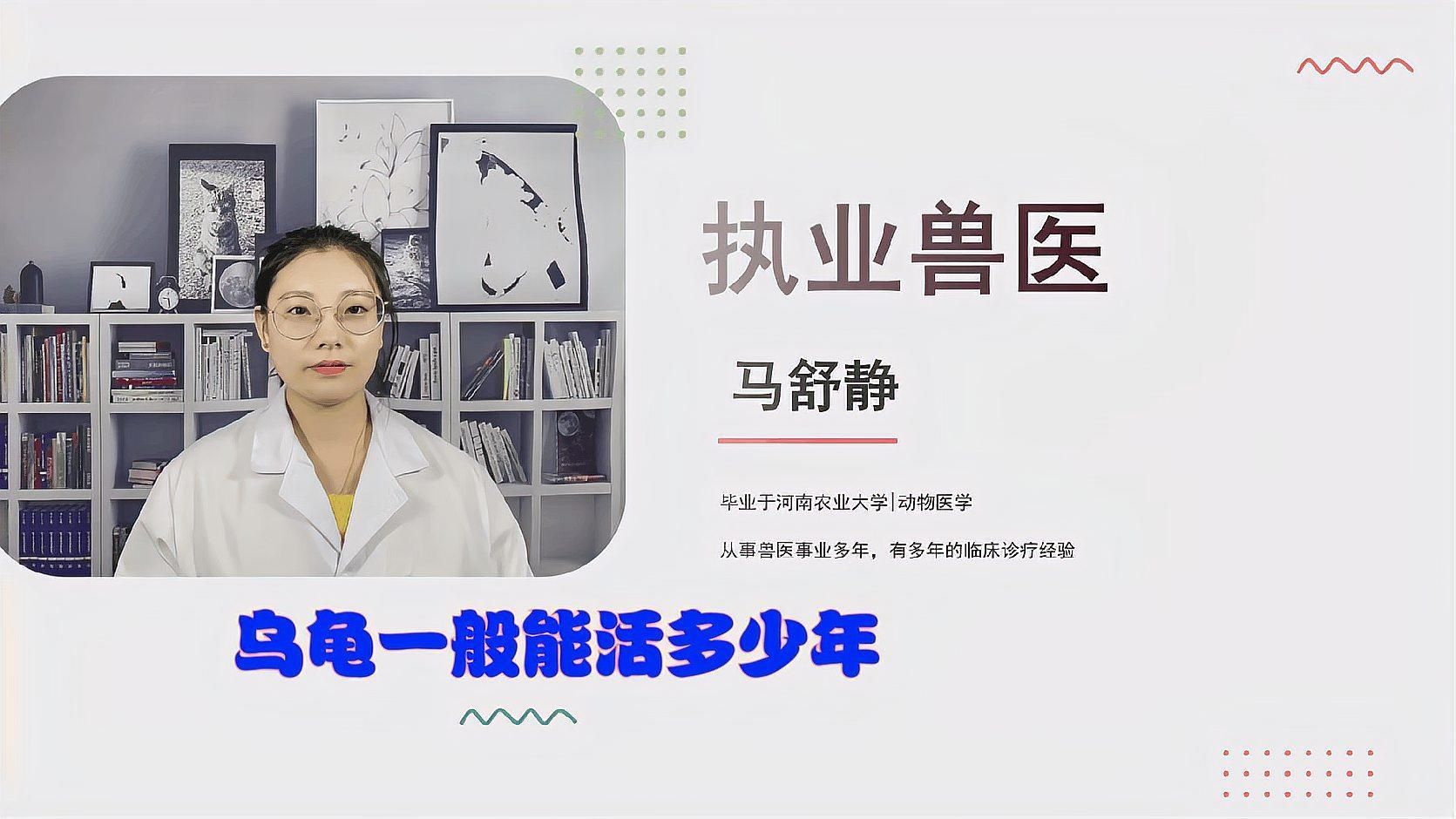 龍魚和烏龜哪個(gè)更長(zhǎng)壽，烏龜和龍魚哪個(gè)更長(zhǎng)壽？