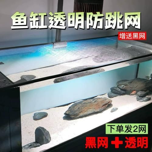 如何判斷一個(gè)龍魚缸的性價(jià)比？