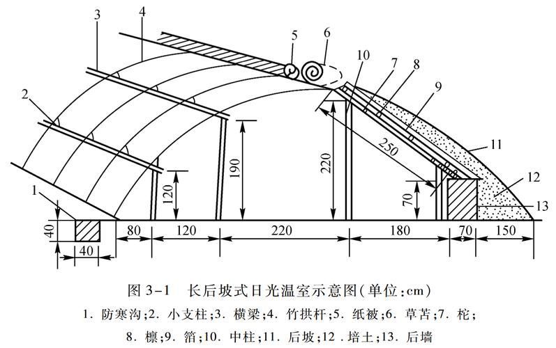 黑霉病有哪些預防措施，黑霉病的預防措施