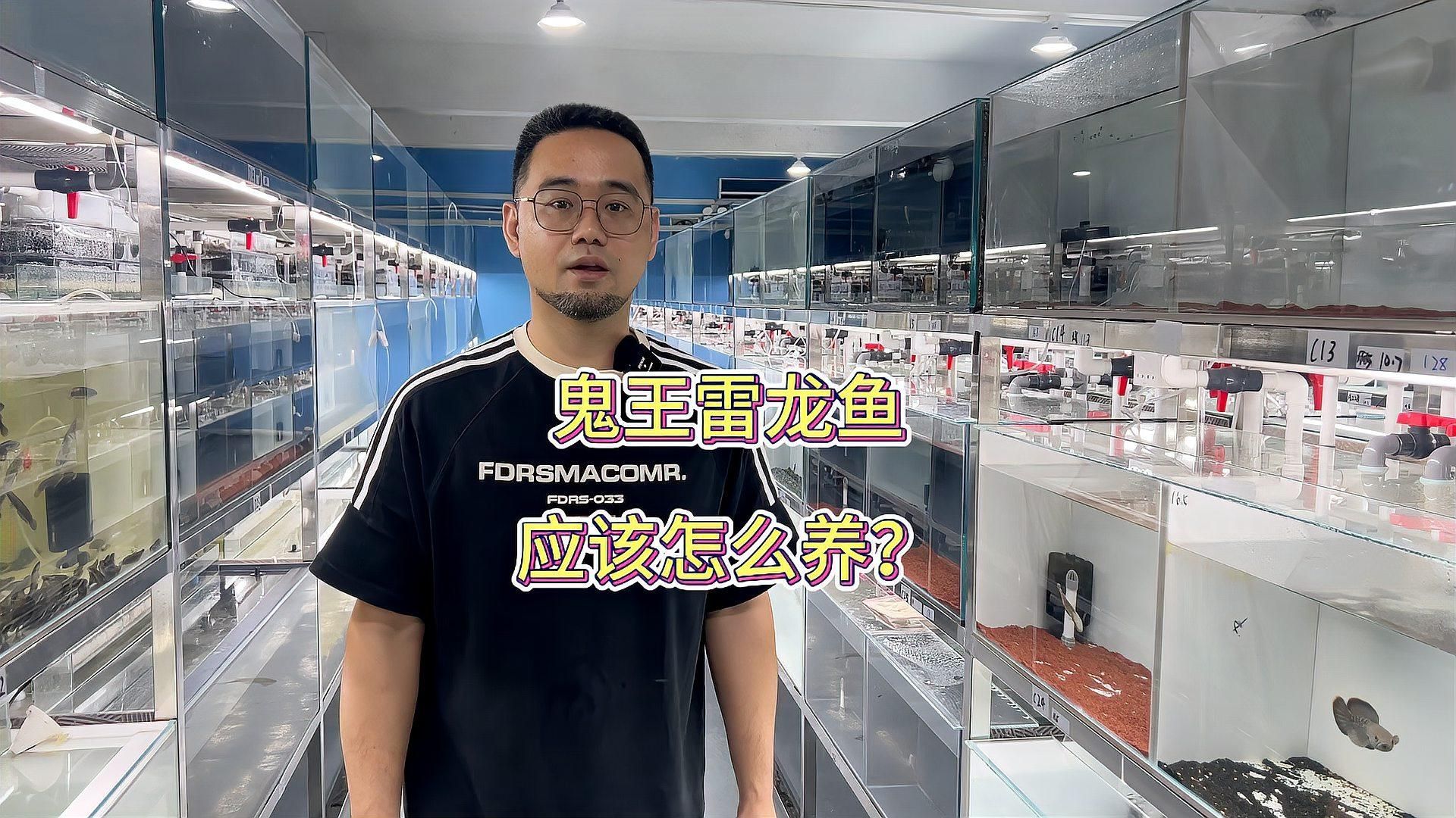 鬼王雷龍魚有哪些飼養(yǎng)技巧，飼養(yǎng)鬼王雷龍魚需要注意的事項(xiàng)