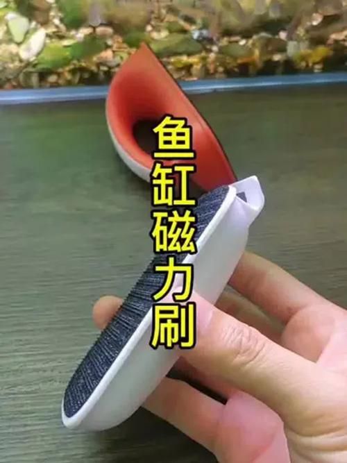 魚缸手動清理步驟