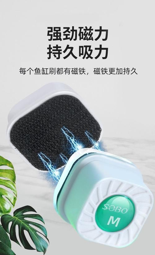 魚缸手動清理步驟